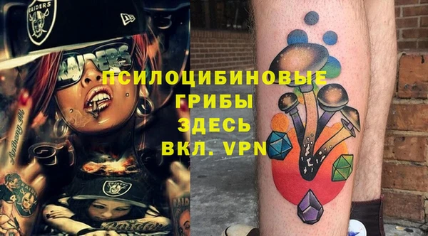 ГАЛЛЮЦИНОГЕННЫЕ ГРИБЫ Аркадак