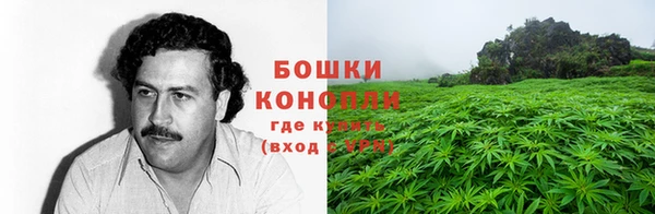 ГАЛЛЮЦИНОГЕННЫЕ ГРИБЫ Аркадак