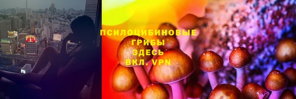 ГАЛЛЮЦИНОГЕННЫЕ ГРИБЫ Аркадак