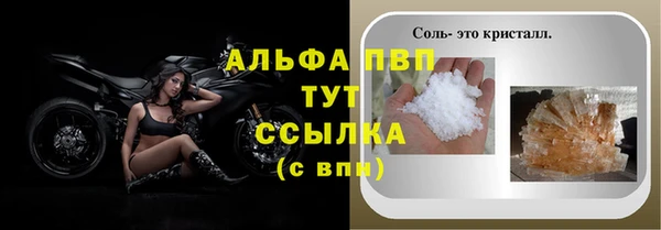 сатива Арсеньев