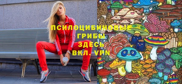 сатива Арсеньев