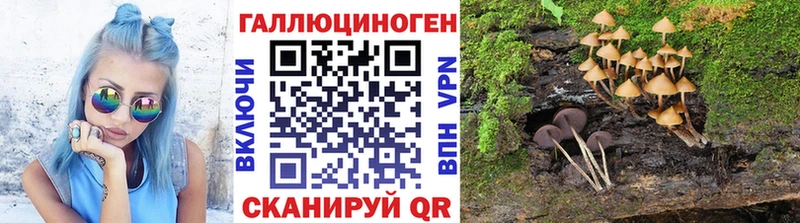 Купить  Бакал  Галлюциногенные грибы мухоморы 