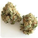 Шишки "White Widow"  (Белая вдова)  Гидропоника -  Бошка VHQ в Бакале 