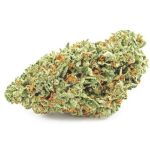Шишки OG Kush  (Гидропоника, бошки) VHQ в Бакале 